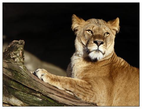 _MG_3591 Kopie_klein.jpg